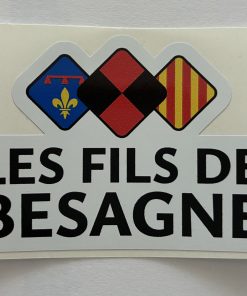 Sticker nouveau logo 8 x 5,7 cm